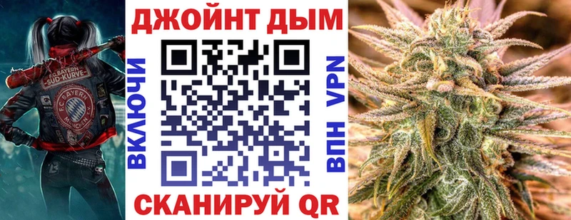 Канабис сатива  Шацк 